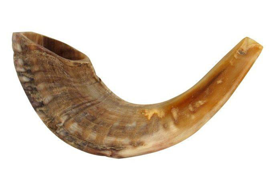 Picture of Shofar Rams Horn Natural Finish by Israel
