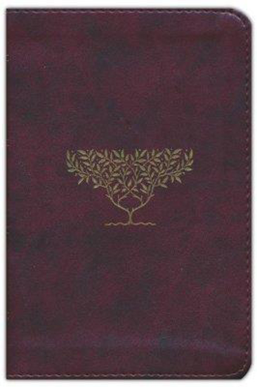 Picture of ESV Compact Bible--soft leather-look, burgundy with olive tree design by Crossway