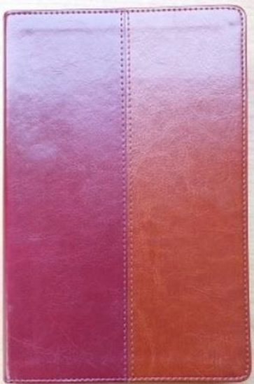 Picture of NLT Bible Tan and Burgundy Flexitone by BSNZ