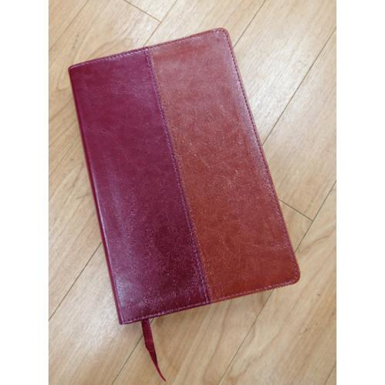 Picture of NLT Bible Tan and Burgundy Flexitone by NZBS