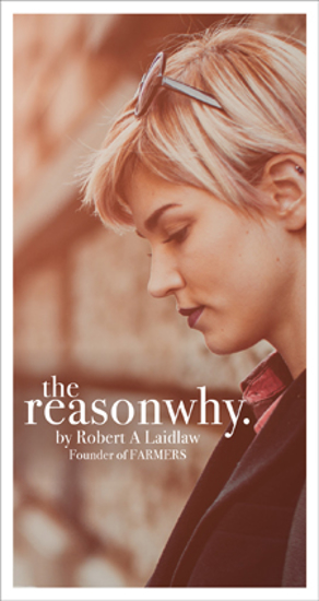 Picture of Reason Why by Robert Laidlaw