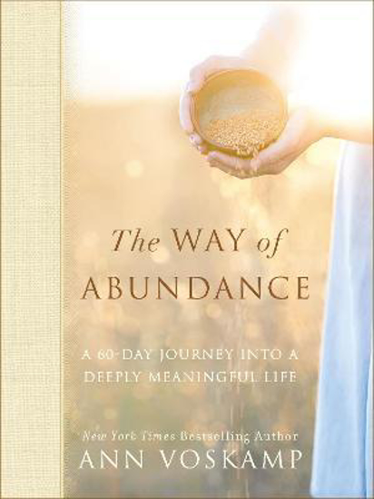 Picture of Way of Abundance by Ann Voskamp