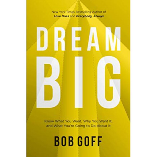 Picture of Dream Big: Know What You Want, Why You Want It ITPE by Bob Goff