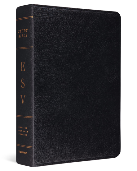 Picture of ESV Study Bible, Large Print, Genuine Leather, Black