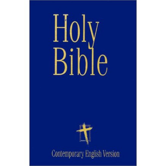 Picture of CEV Easy Reading Bible/Large Print Blue