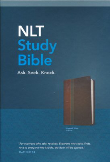 Picture of Slate NLT Study Bible, TuTone, LeatherLike