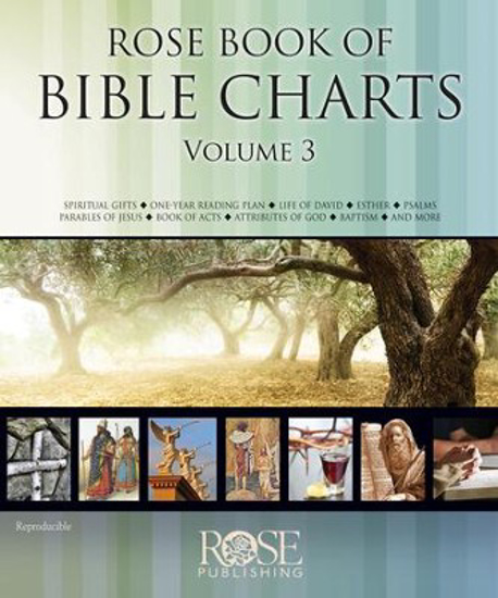 Picture of Rose Book of Bible Charts Vol 3