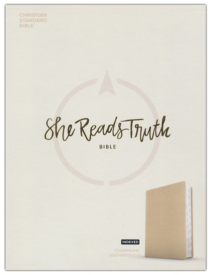 Picture of CSB She Reads Truth Bible--Imitation Leather, champagne (indexed)