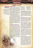 Picture of NIV Chronological Study Bible, Hardcover