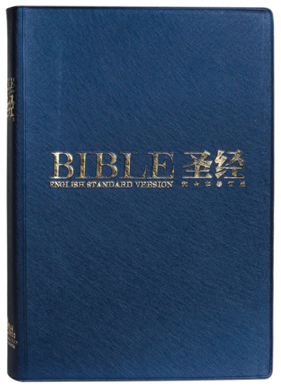 Picture of Chinese CUVSS / English ESV Bible Blue Vinyl