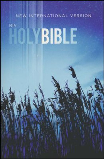Picture of NIV Value Outreach: Blue Wheat Paperback New Edition
