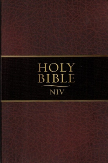Picture of NIV Holy Bible, Thinline Brown Paperback