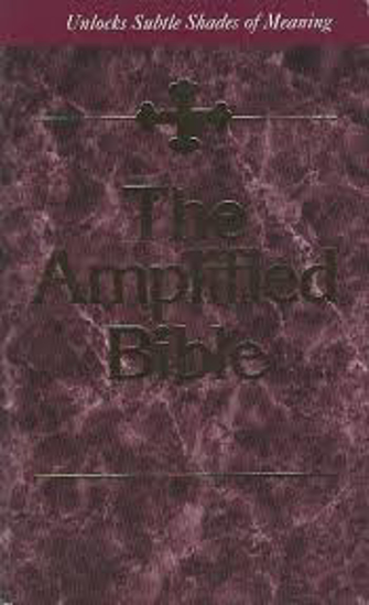 Picture of Amplified Bible Violet