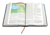 Picture of NIV The Woman's Study Bible, Imitation Leather, Blue and Brown, Full-Color