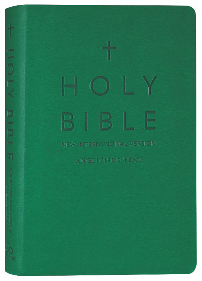 Picture of NIV Slimline Bible Rich Green