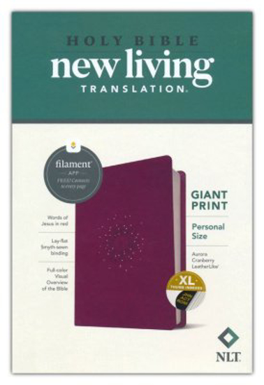 Picture of NLT Personal-Size Giant-Print Bible, Filament Enabled Edition--soft leather-look, aurora cranberry (indexed)